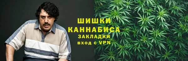 стафф Богданович